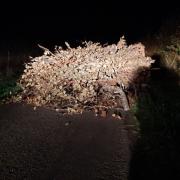 Hankerton and Charlton has seen a number of fly tipping instances in recent weeks. (Image: Malmesbury Police).