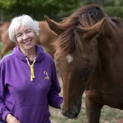Mrs Yeadon has been working with horses and children for 25 years.