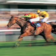 Punters are urged to have a flutter at a charity race night to raise funds for Prospect Hospice