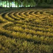 Wiltshire is the crop circle capital of the UK