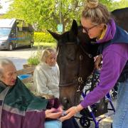 The retired racehorse has done more for the Marlborough community than most.