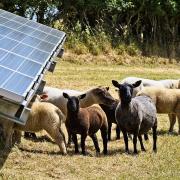 The High Penn Solar Farm in Wiltshire