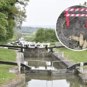 Dog mess warning signs have appeared on the Kennet and Avon Canal