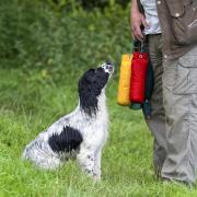 An emotional John Gardiner was told his springer spaniel would be 'destroyed'