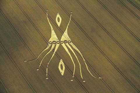 The crop circle at Hill Barn described as a ‘showstopper’