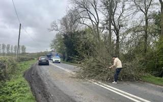A tree collapsed onto the A3102 near Calne